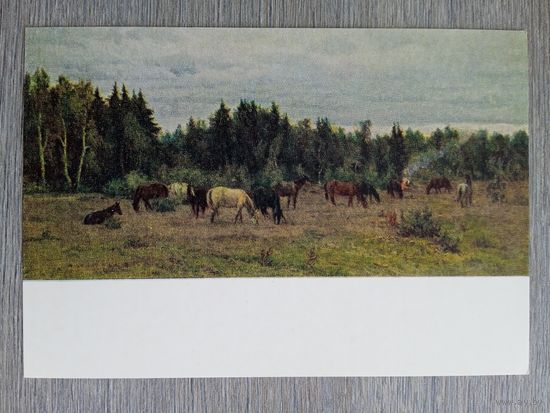 1954. Земсков. Ночное