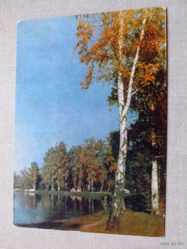 С012-5191 Открытка Подмосковье Фото Раскин Чистая 1964