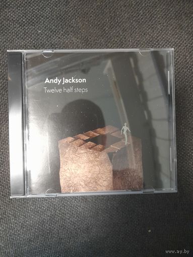 ANDY JACKSON ( PINK FLOYD)  "TWELVE HALF STEPS"  CD 2023
