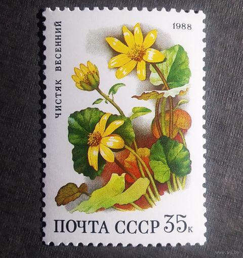 Марка СССР 1988 год Лесные цветы