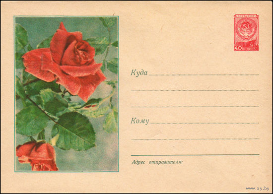 Художественный маркированный конверт СССР N 630 (28.01.1958) Фото розы