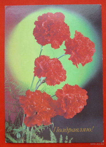 Поздравляю! Чистая. 1990 года. Костенко. # 320.
