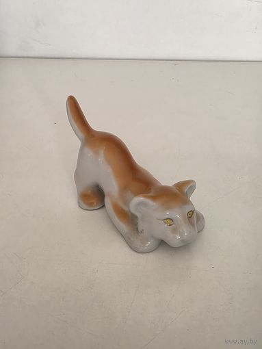 Тигренок. ЗХК Полонне