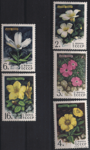 Заг. 4642. 1977. Цветы гор Сибири. чиСт.