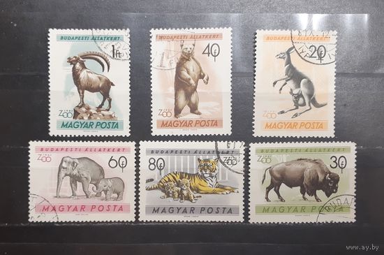 Венгрия. 1961 год. Фауна. Зоопарк Будапешта (1185)