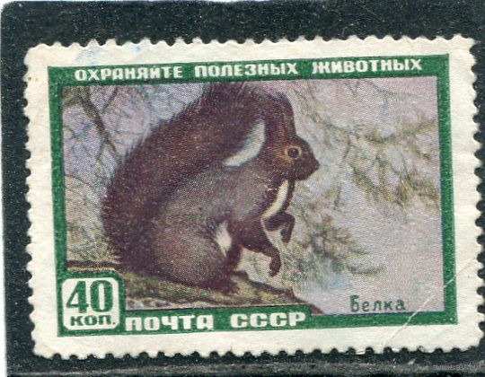 СССР 1959.. Фауна. Белка