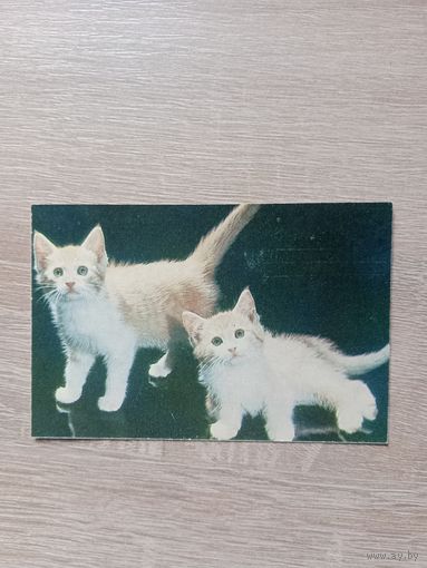 Календарик 1992