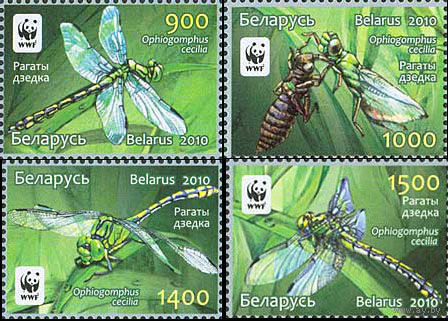 Рогатый дедка,  Беларусь 2010 год (850-853) 4 марки