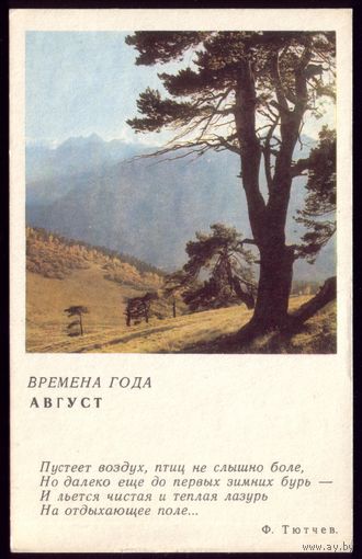 1968 год Август чист
