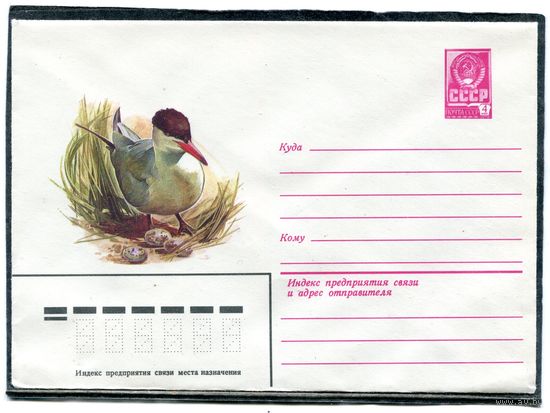 СССР 1981. ХМК. Конверт. Чеграва