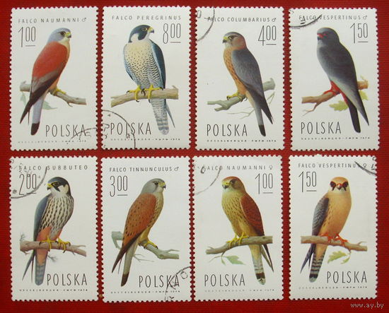 Польша. Хищные птицы. ( 8 марок ) 1974 года. 11-6.