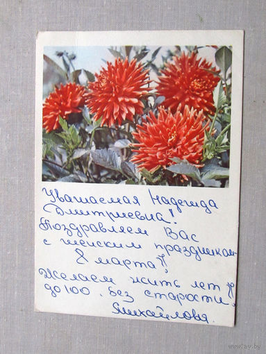 С010-4716 Открытка Цветы Фото Смоляков Подписана 1964