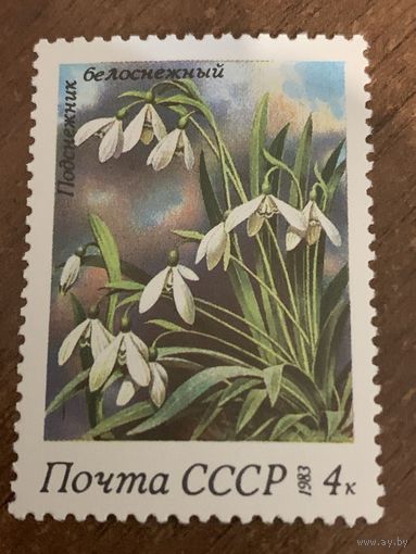 СССР 1983. Подснежник белоснежный. Марка из серии