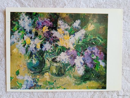 Шишко. Сирень