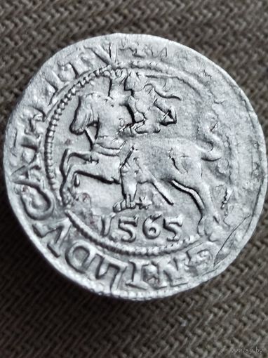 Распродажа - полугрош 1565г.,ВКЛ,СИГИЗМУНД 2 АВГУСТ