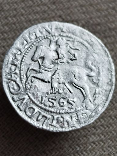 Распродажа - полугрош 1565г.,ВКЛ,СИГИЗМУНД 2 АВГУСТ