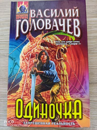 Одиночка Василий Головачев