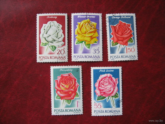 Марка Цветы Роза Румыния 1970 год