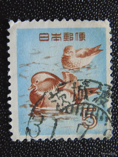 Япония 1955 г.