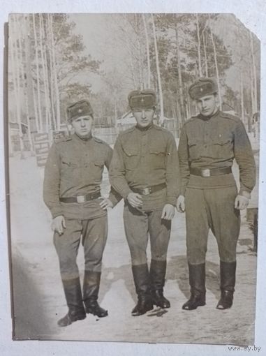 Фото в коллекцию