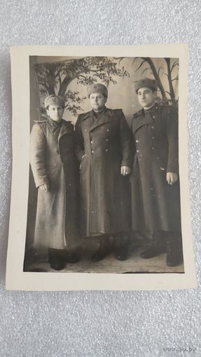 Фотография Военные Армия СССР , 200 лотов с 1 рубля,5 дней!