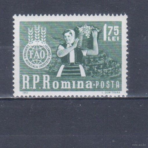 [451] Румыния 1963. Флора.Плоды.Ягоды.Фрукты.Сбор винограда. MNH