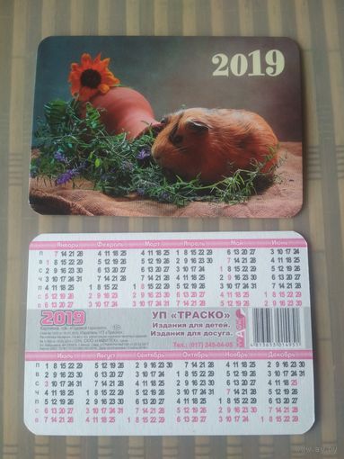 Карманный календарик  Морская свинка. 2019 год