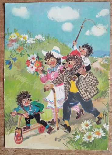 Ежики. Прогулка. Германия. Чистая.