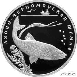 Красная книга: Азово-черноморская шемая