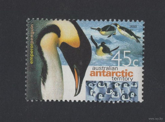 Автралийские Антарктические территории (ААТ) 2000** Императорский пингвин Mi#123