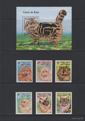 Фауна Кошки Сахара /Sahara 1999** Домашние животные