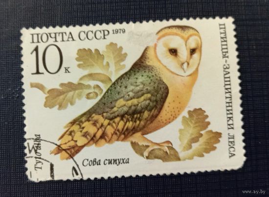 Марка СССР 1979 Птицы -защитники леса