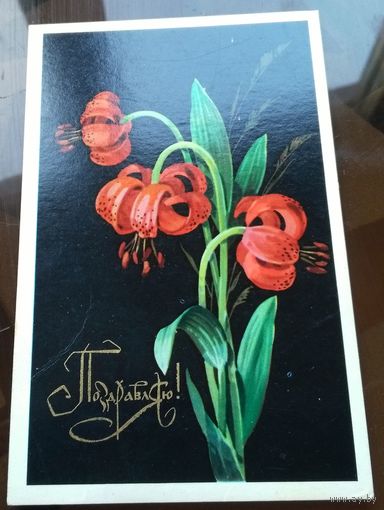 1974 год А.Куртенко Поздравляю