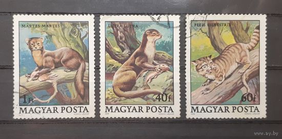 Венгрия. 1979 год. Фауна (3 марки, состояние на фото)