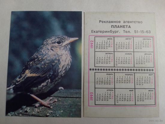 Карманный календарик. Птицы. 1992 год