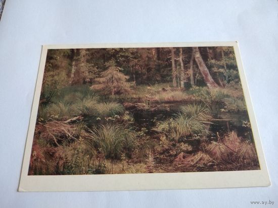 Открытка 1984г. И. Шишкин Родник в лесу.