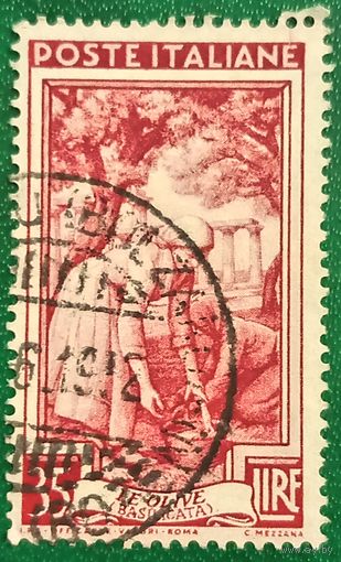 Италия 1950. Сборщики оливок