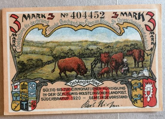 Германия 3 марки 1920 г Зюдербраруп (Schleswig-Holstein-Suderbrarup), 1294.3, UNC