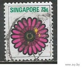 Сингапур. Цветы Юга Азии. Астры. 1973г. Mi#200.