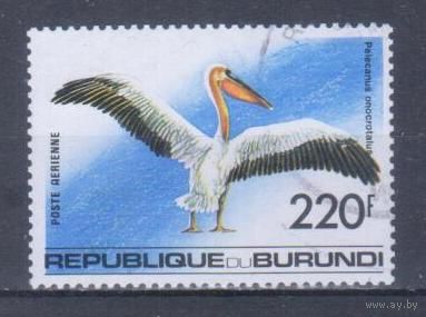 [1759] Бурунди 1992. Фауна.Птицы.Белый пеликан. Концовка серии.Гашеная марка. Кат.гаш.6 е.