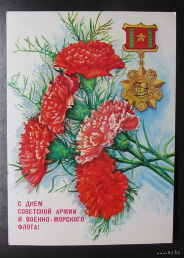 Открытка "С днём Советской Армии и Военно-морского флота",1990,Толмачов,чистая-No24
