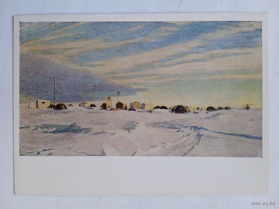 1955. Рубан. Солнечный день