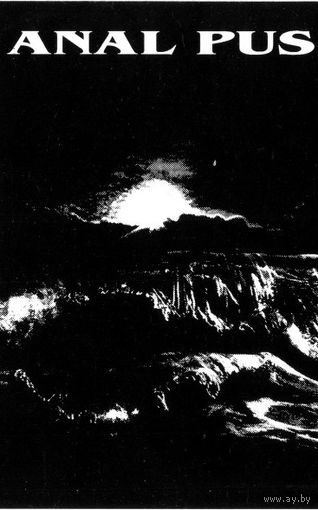 Anal Pus "Unsurmountable Exhaustion Of Disentombed..." кассета