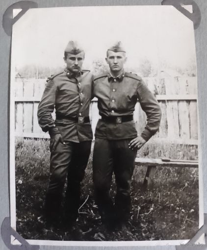 Фото в коллекцию