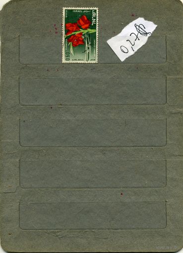ИЗРАИЛЬ1989,  флора 1м