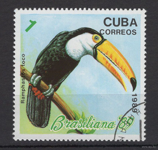 Куба 1989 Фауна Птицы Филателистическая выставка Brasiliana-89 в Рио-де-Жанейро