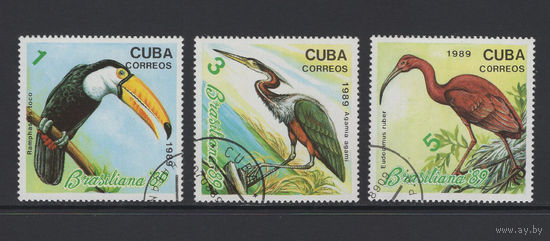 Фауна Птицы Куба 1989  Филателистическая выставка Brasiliana-89 в Рио-де-Жанейро Used