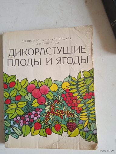 Дикорастущие  плоды и ягоды