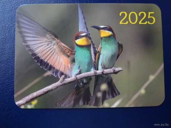 Календарик 2025 г.  Щурки.