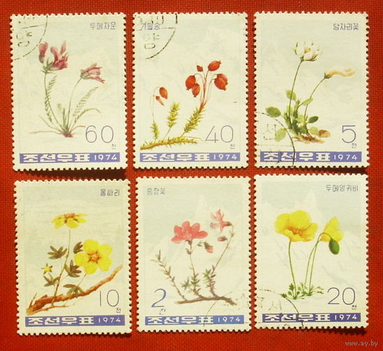 КНДР. Цветы. ( 6 марок ) 1974 года. 9-17.